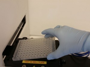 lab-analysis