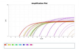 amplification-plot